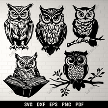 Load image into Gallery viewer, Download your favorite Owl SVG cut files today and create stunning crafts.
