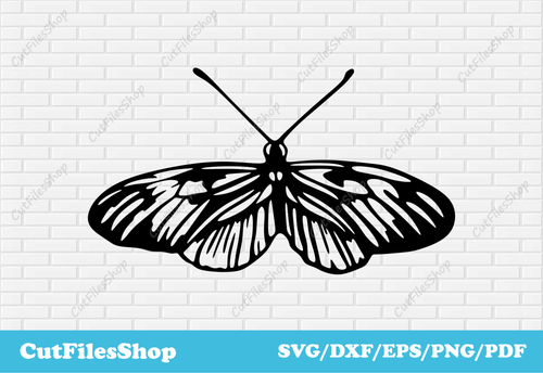 Butterfly svg cut file for cricut, DXF butterfly for laser cutting, t - shirt designs, silhouette cameo files - Cut Files Shop