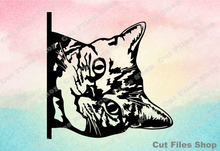 Load image into Gallery viewer, Cat for cricut, cat svg, cat art, custom cat portrait, svg for cricut, cutting files - Cut Files Shop
