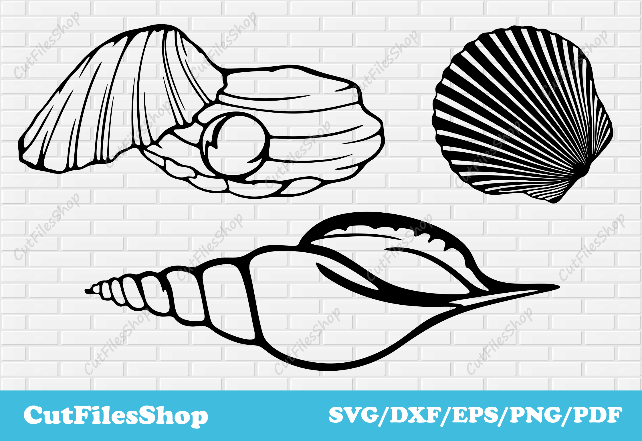 Sea shells svg images, dxf images for laser cut, svg cut files for cri